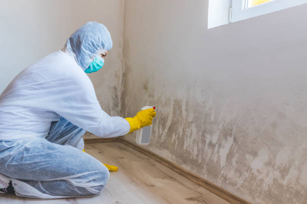 Licensed Crawl Space Mold Removal service in Benzonia, MI - WQB Mold Removal
