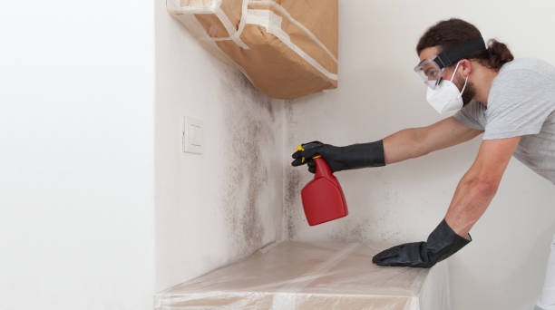 Professional Crawl Space Mold Removal technician working in Benzonia, MI