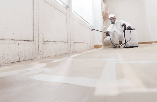 24/7 Emergency Crawl Space Mold Removal experts in Benzonia, MI